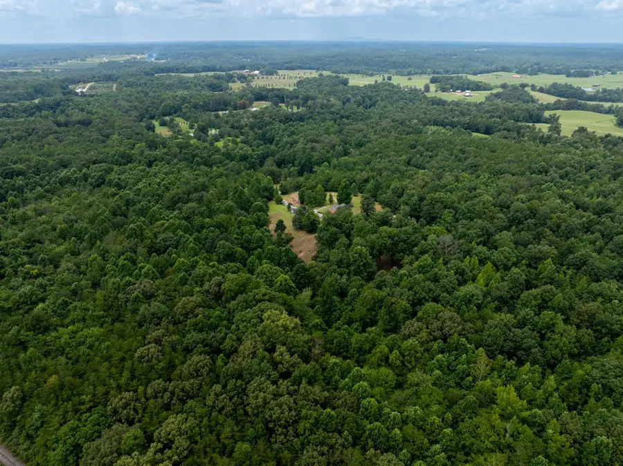 443 Paradise Ln, McMinnville, TN 37110 - #3