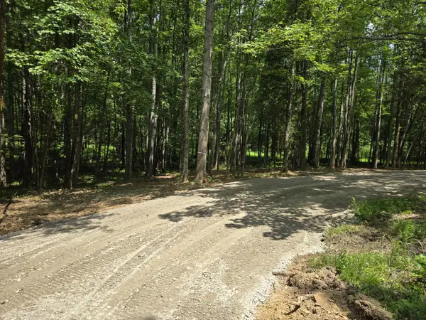 0 Webb Road, Summertown, TN 38483