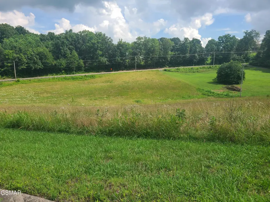 213 Washita Lane, Rutledge, TN 37861 - #3