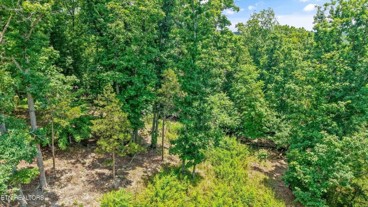 1499 Dogwood Valley Rd, Kingston, TN 37763 - #1