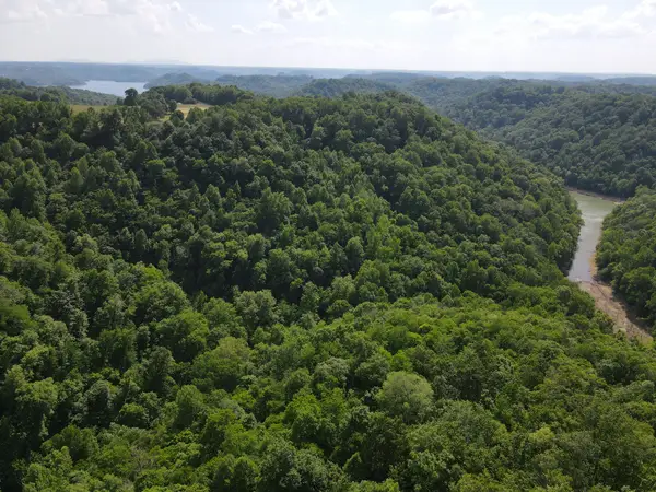 0 Clemons Ridge Rd, Silver Point, TN 38582