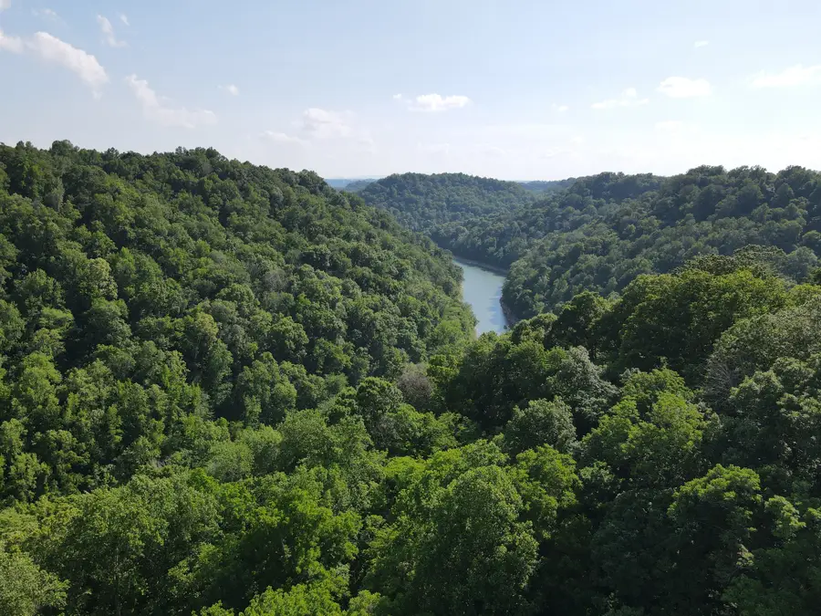 0 Clemons Ridge Rd, Silver Point, TN 38582 - #3