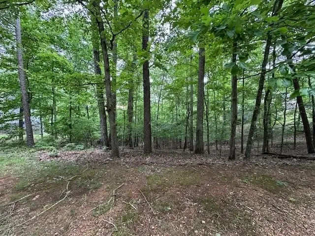 0 Anderson Hollow Rd, Savannah, TN 38372 - #2