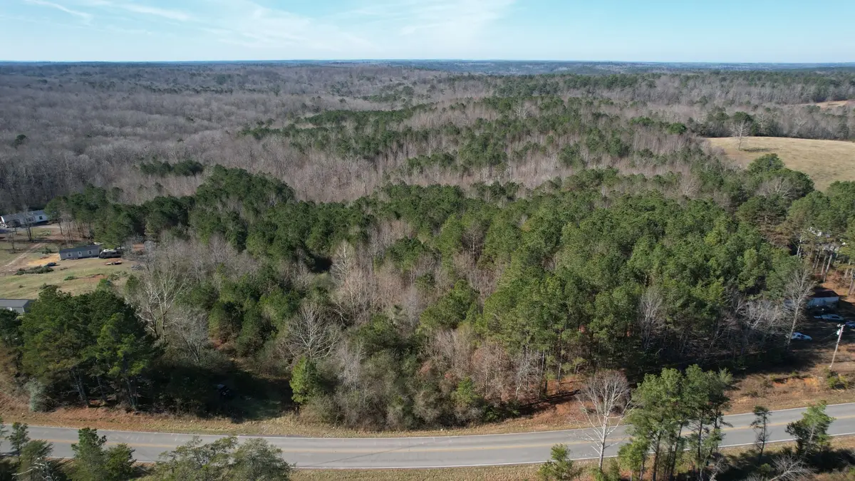 0 County Road 41, Addison, AL 35540 - #1