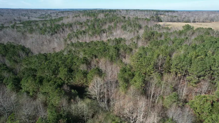0 County Road 41, Addison, AL 35540 - #3