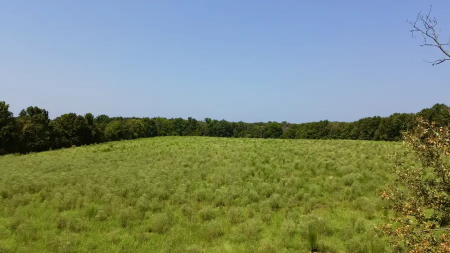 0 Danville Road, Big Sandy, TN 38221 - #3