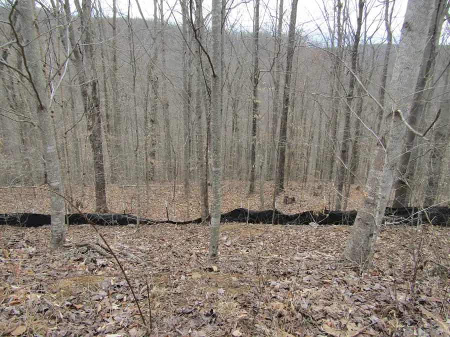 0 Bobcat Lane, Wilder, TN 38589 - #3