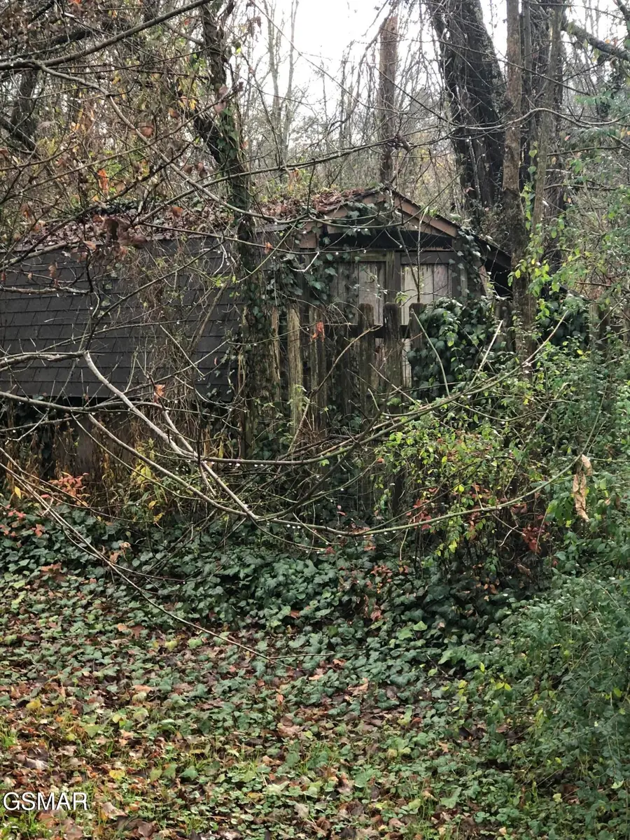 1800 Frankie Lane, Sevierville, TN 37876 - #3