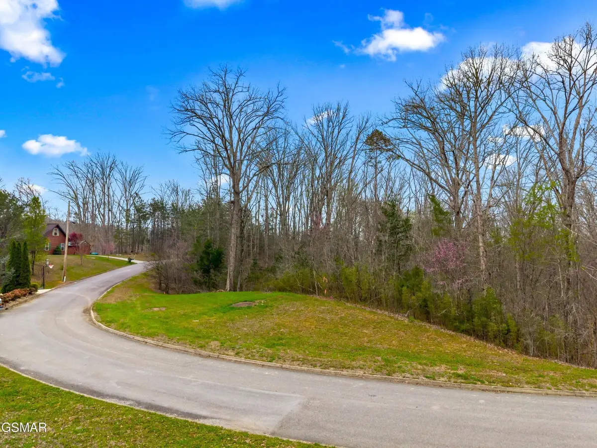 106 Turtle Dove Trail, Dandridge, TN 37725 - #1