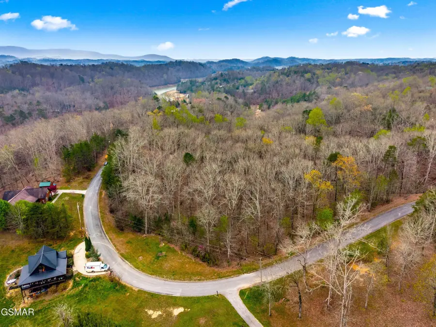 106 Turtle Dove Trail, Dandridge, TN 37725 - #3