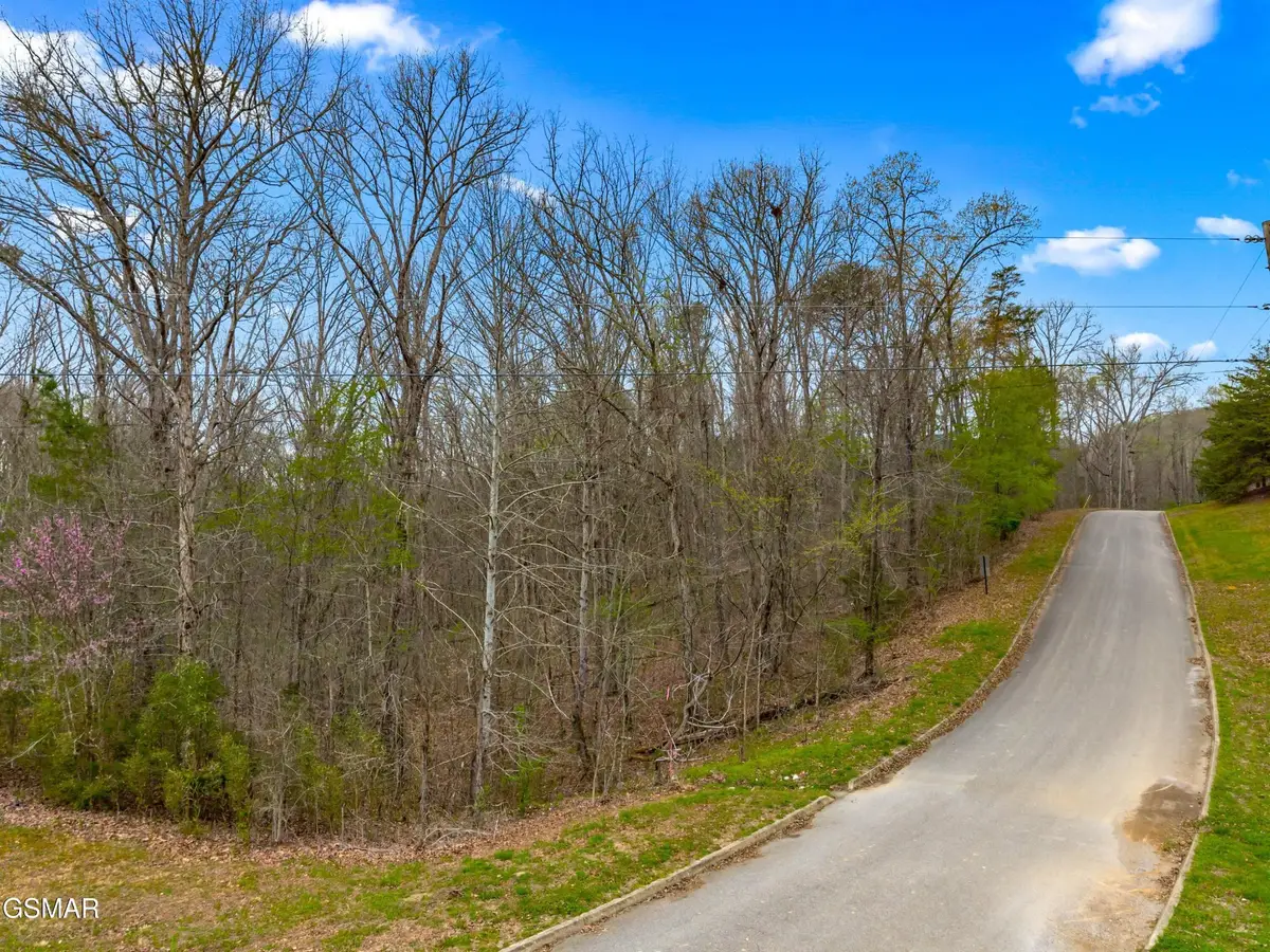 107 Turtle Dove Trail, Dandridge, TN 37725 - #1