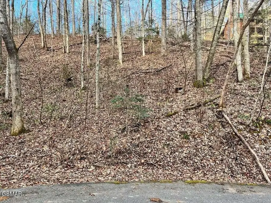 303132 N Highland Drive, Gatlinburg, TN 37738 - #2