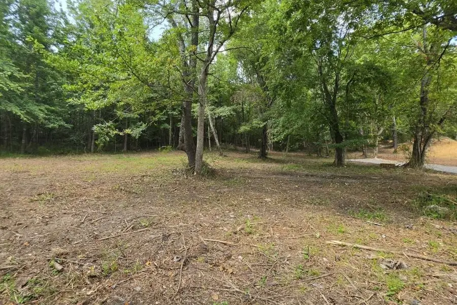 0 Dukes Park Rd, Summertown, TN 38483 - #2