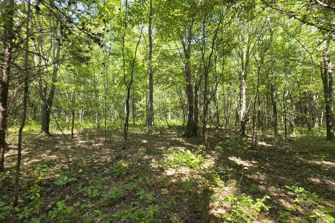0 N Old Military Rd, Summertown, TN 38483 - #1