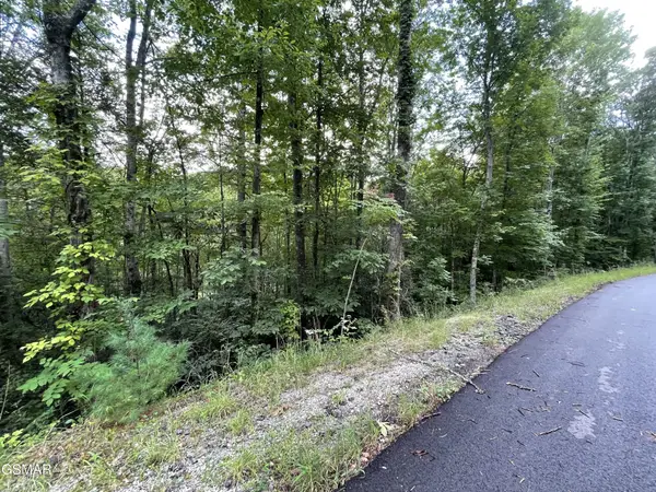 5 Stepping Stone Drive, Sevierville, TN 37862