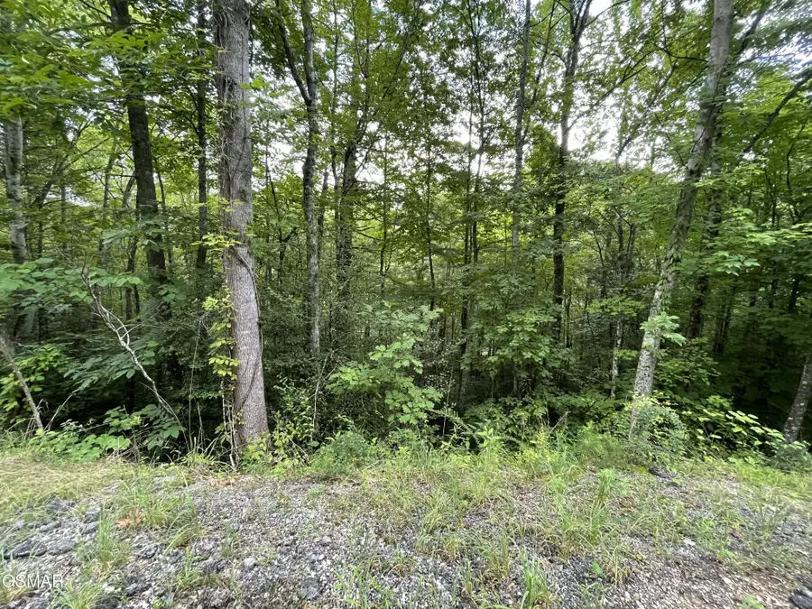 6 Stepping Stone Drive, Sevierville, TN 37862 - #2