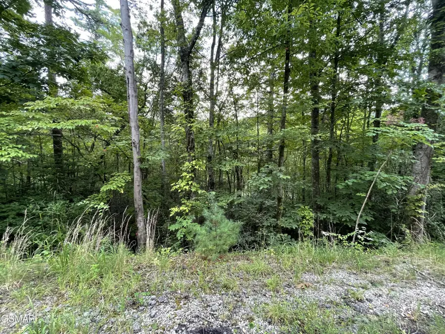 6 Stepping Stone Drive, Sevierville, TN 37862 - #3
