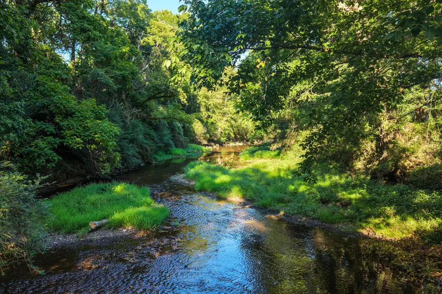 1334 Wallace Thompson Road, Lewisburg, TN 37091 - #3