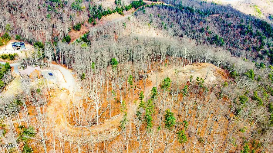 0 Mountain Ash Way, Sevierville, TN 37876 - #2