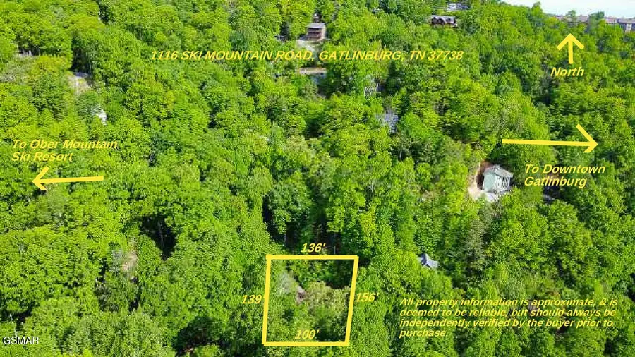 1116 Ski Mountain Road, Gatlinburg, TN 37738 - #2