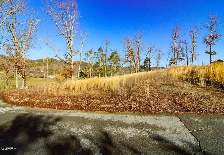 3246 Samuel Wear Drive, Sevierville, TN 37862 - #3
