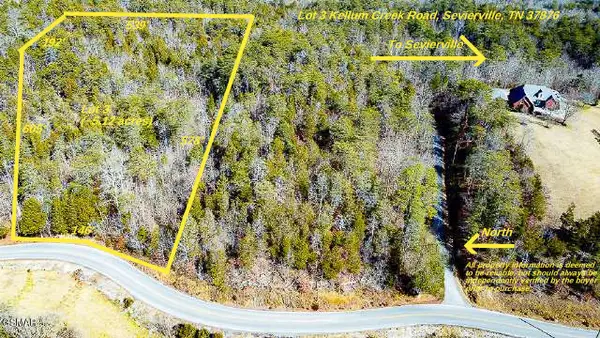3 Kellum Creek Road, Sevierville, TN 37876