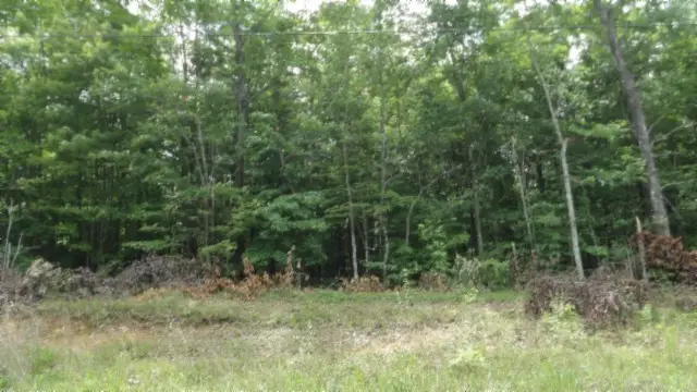 0 Parkstown Ext Rd, Wilder, TN 38589 - #2