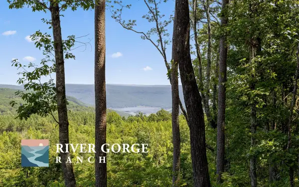 1220 S Crow Nest Drive, Guild, TN 37340