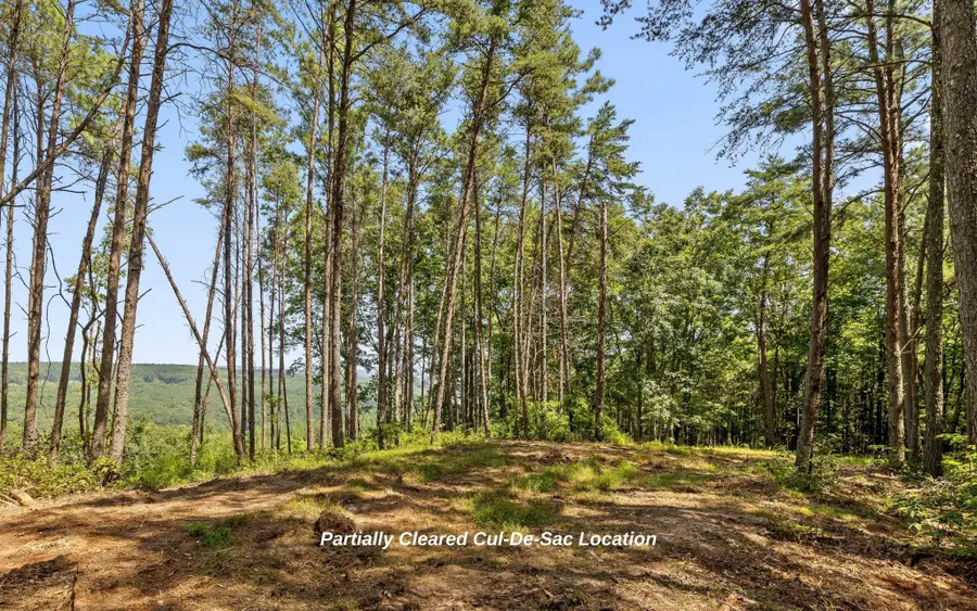 1220 S Crow Nest Drive, Guild, TN 37340 - #2