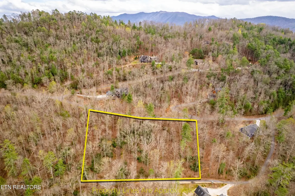 483 Chetola Trail, Townsend, TN 37882 - #1