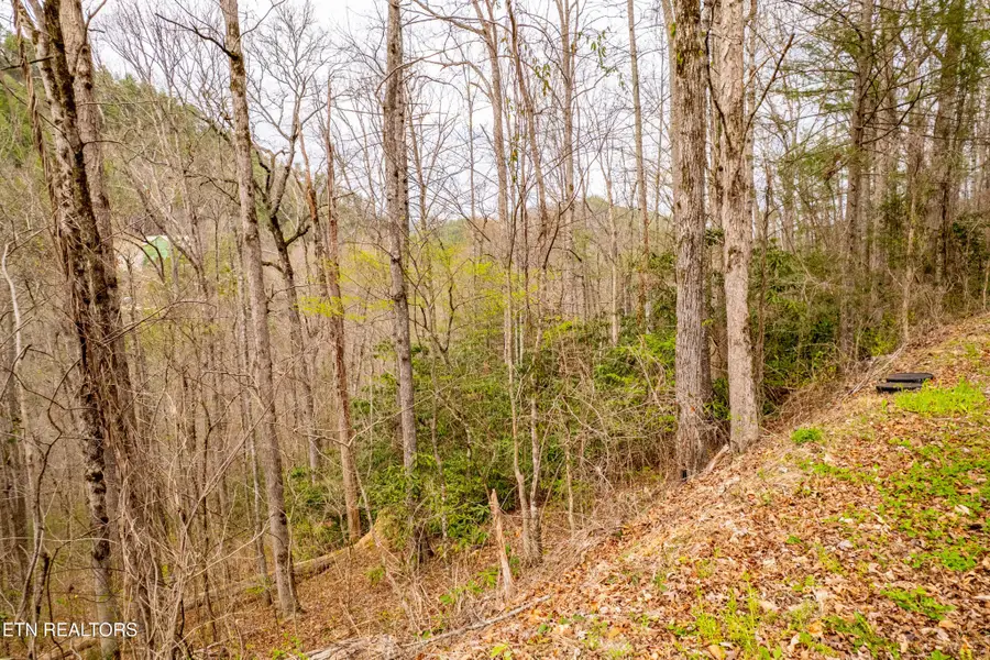 483 Chetola Trail, Townsend, TN 37882 - #3