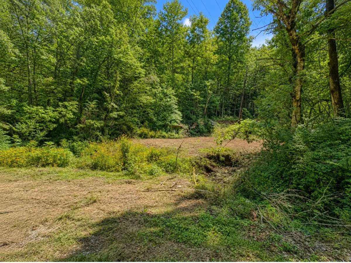 465 Halls Hollow Rd, Smithville, TN 37166 - #1