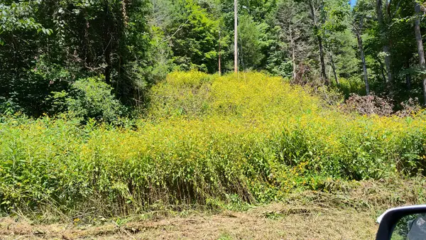 465 Halls Hollow Rd, Smithville, TN 37166