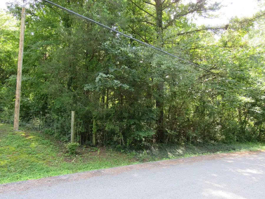 0 Hoover Drive And Collins St, McMinnville, TN 37110 - #3