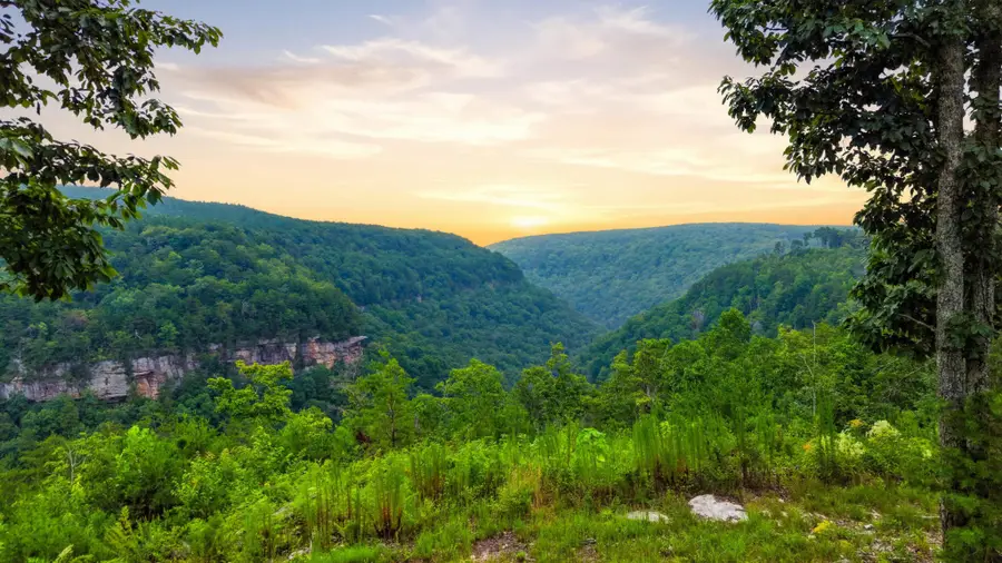 0 Worley Road, Soddy Daisy, TN 37379 - #3