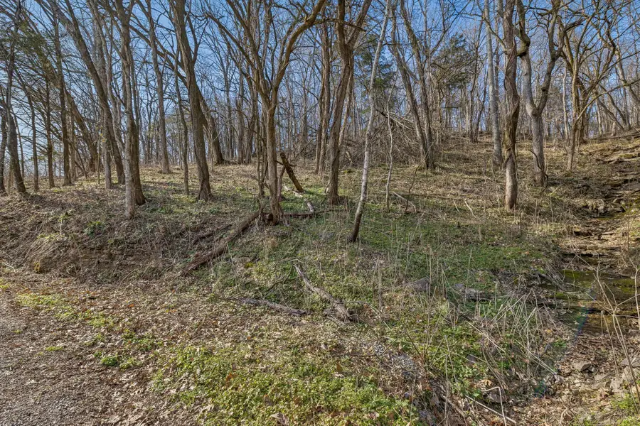 0 Dyer Branch Road, Gordonsville, TN 38563 - #2