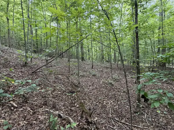 0 Deer Creek Rd, Linden, TN 37096