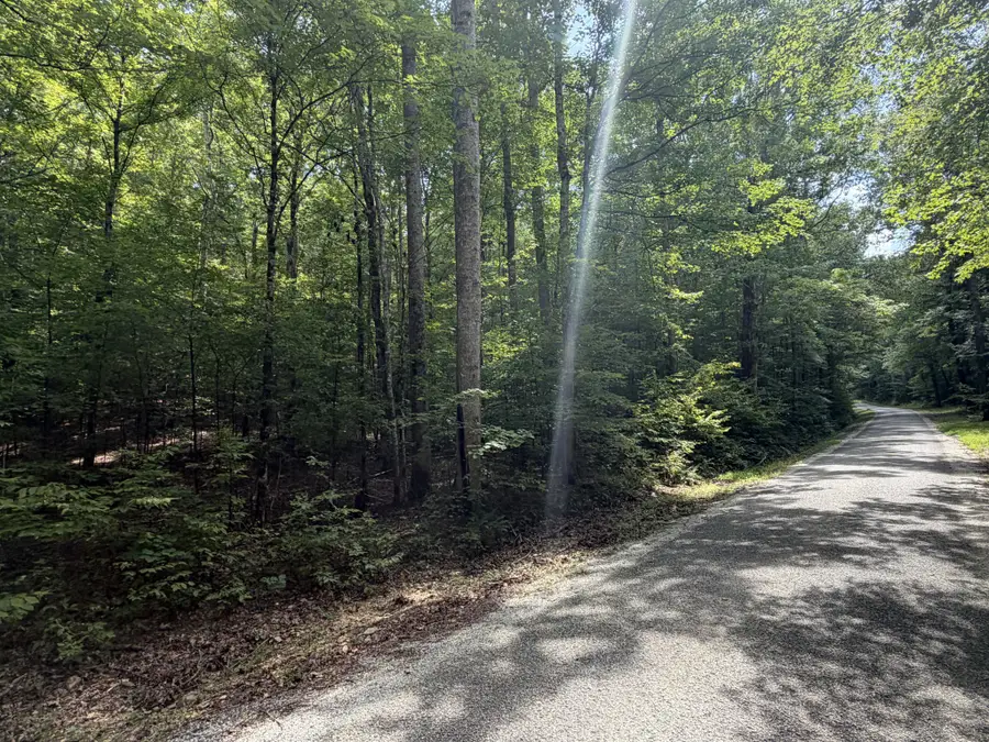 0 Deer Creek Rd, Linden, TN 37096 - #2