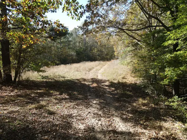 2 Copper Spring Road, Springville, TN 38256
