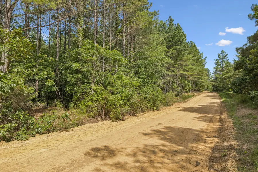 0 Falls Branch Road, Duck River, TN 38454 - #2