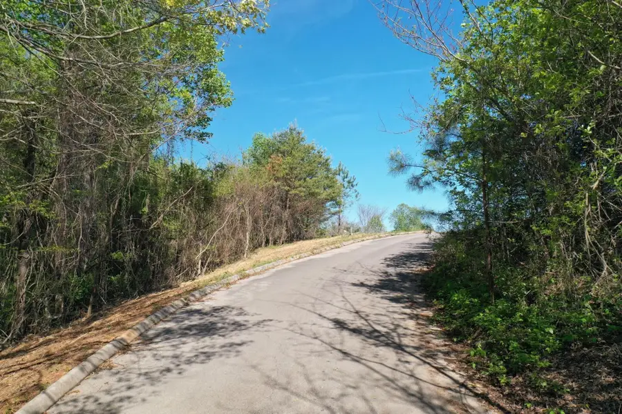0 Lot 13 Elm Lane, Sweetwater, TN 37874 - #3