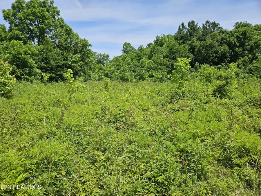 0 Six Mile Rd, Maryville, TN 37803 - #3