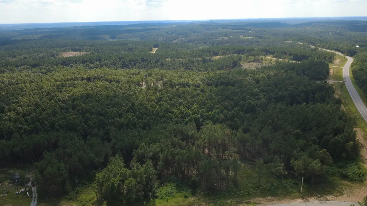 110 Hilltop Dr, Hohenwald, TN 38462 - #1