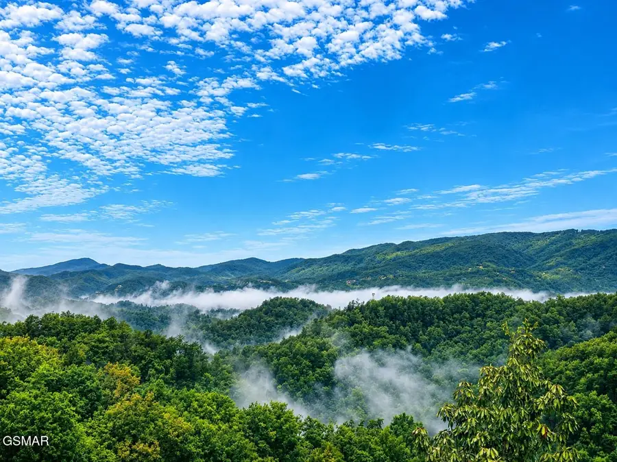 914 Black Bear Cub Way, Sevierville, TN 37862 - #2