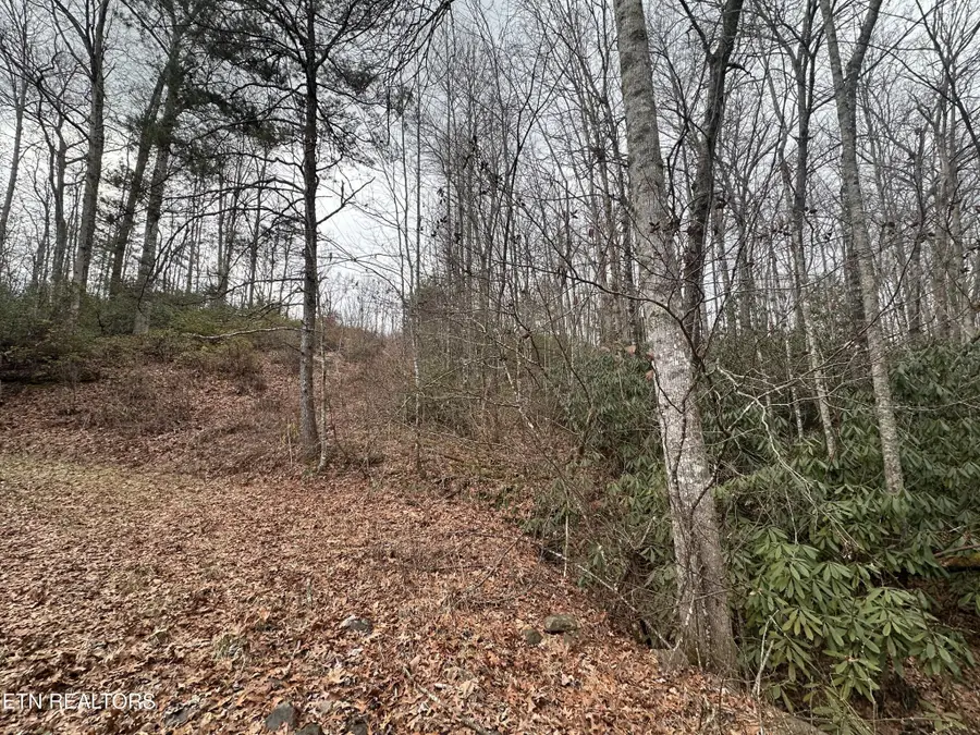 382 S Of Franklin Rd, Jamestown, TN 38556 - #2