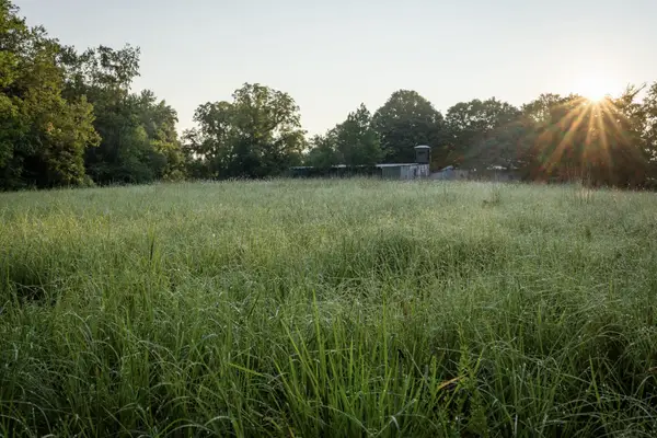 1125 Dawson Road, White Bluff, TN 37187