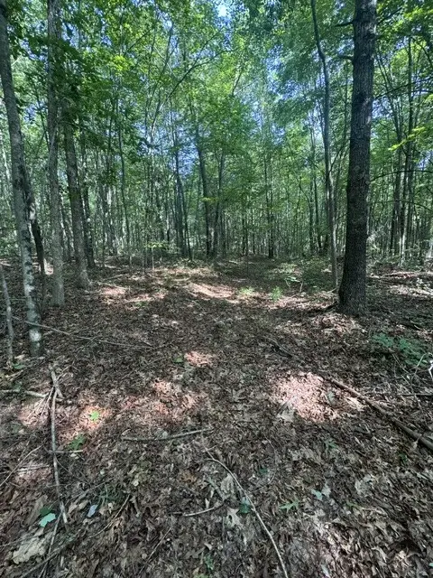0 Parkstown Rd, Wilder, TN 38589 - #2
