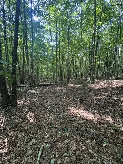 0 Parkstown Rd, Wilder, TN 38589 - #3