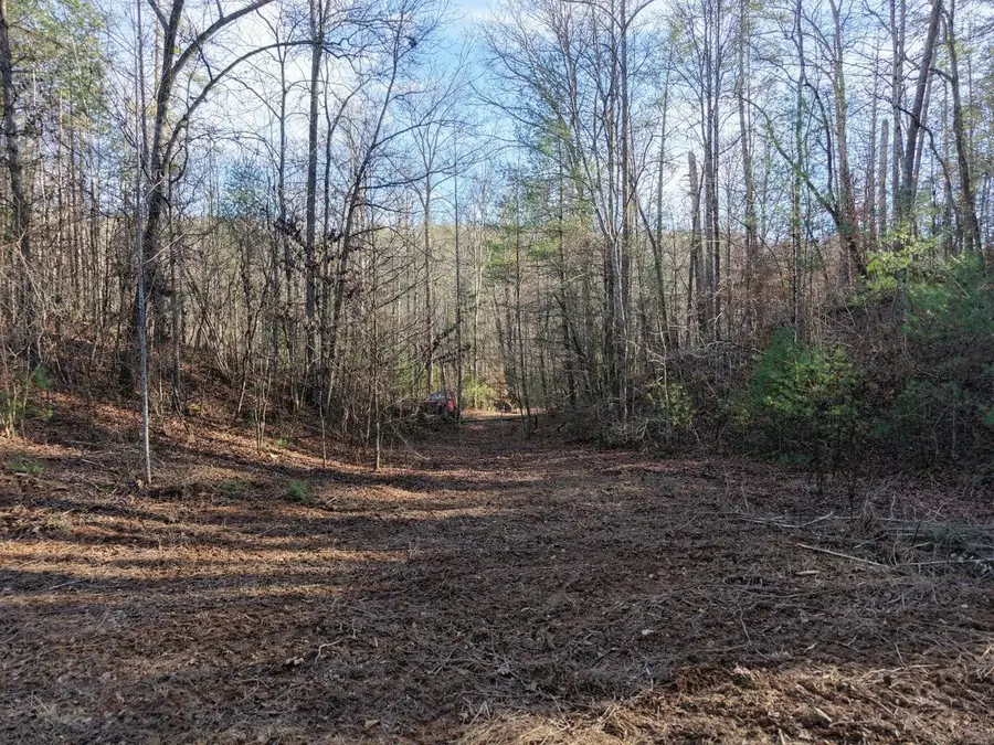 0 Bakers Creek Road, Old Fort, TN 37362 - #2