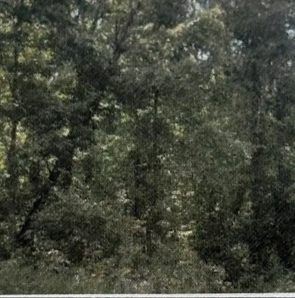 0 Shiloh Rd, Beechgrove, TN 37018